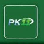 Pk11 Game